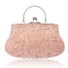 Vintage Handmade Beaded Embroidery Evening Bag - Champagne